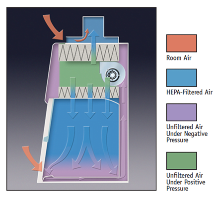 Diagram for Class II A1 or A2 Cabinet with Canopy Airflow