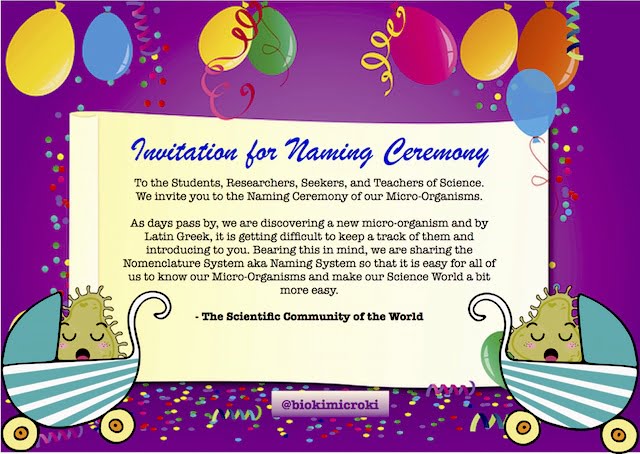 Classification and Nomenclature in Microbiology | Taxonomic Categories