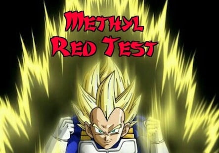 Methyl Red (MR) Test