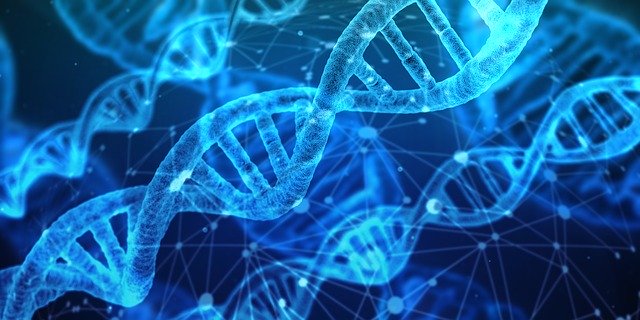 Different Forms of DNA | A Quick Read | BiokiMicroki
