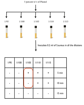 Protocol for Phenol Coefficient Test.