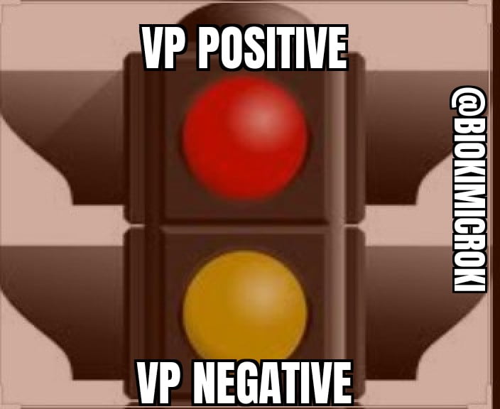 Voges Proskauer (VP) Test