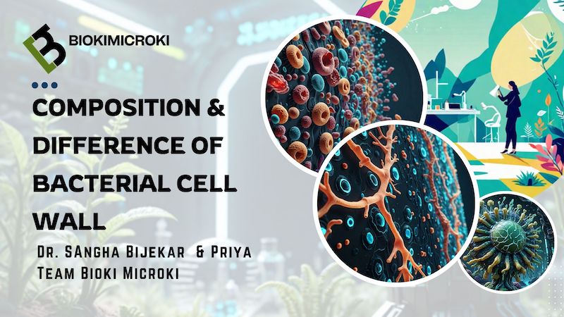 Composition & Difference of Bacterial Cell Wall
