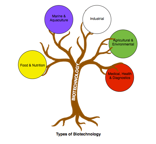 Biotechnology- What is it? What are its different types?