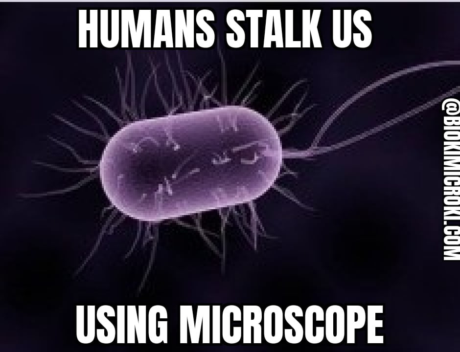 Microscope | Principle, Parts and Application