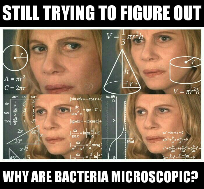 Why Bacteria are Microscopic?