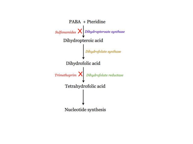 Antibiotics inhibiting DNA replication