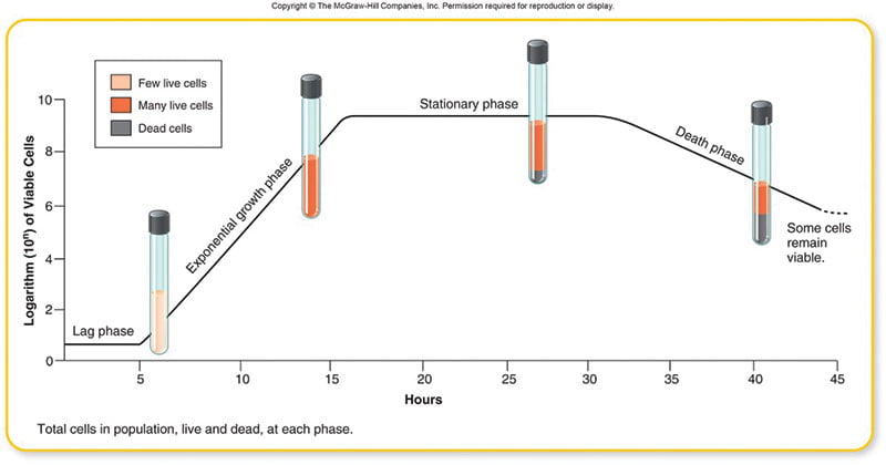 Bacterial Growth Curve and its application