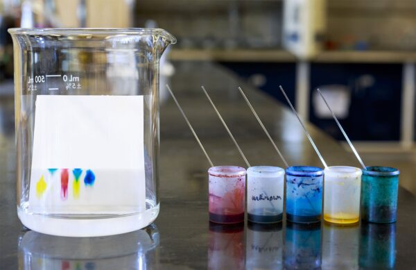Principle & Procedure of Paper Chromatography