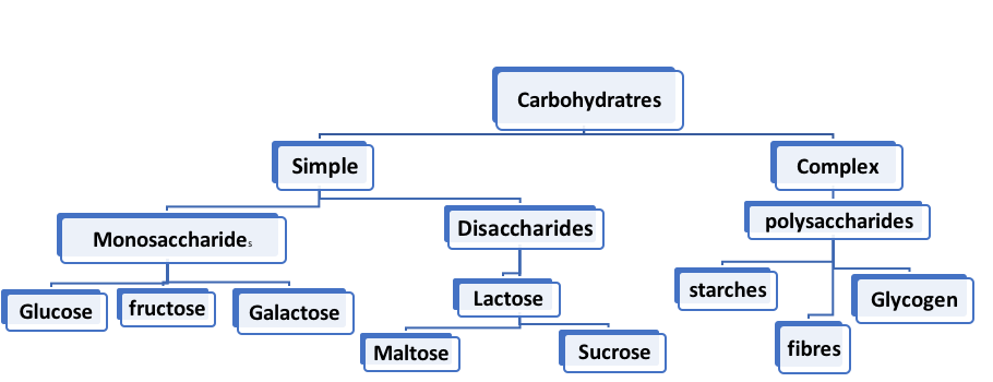 Classification of Carbohydrates