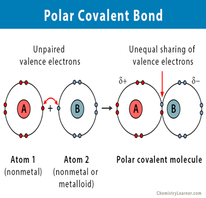 Polar Covalent