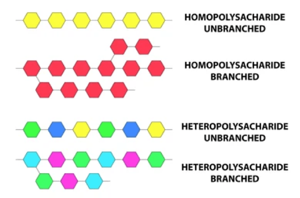 Polysaccharides