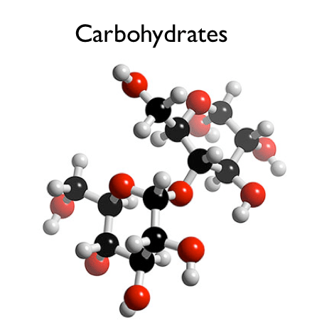 Carbohydrates – Classification, Structure and Functions