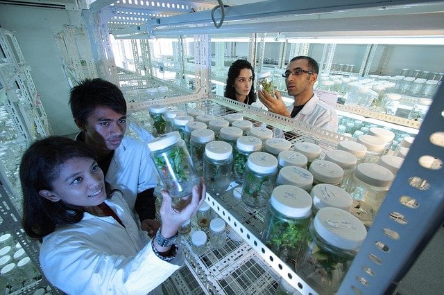 Get Skilled: Biotechnology job for Freshers