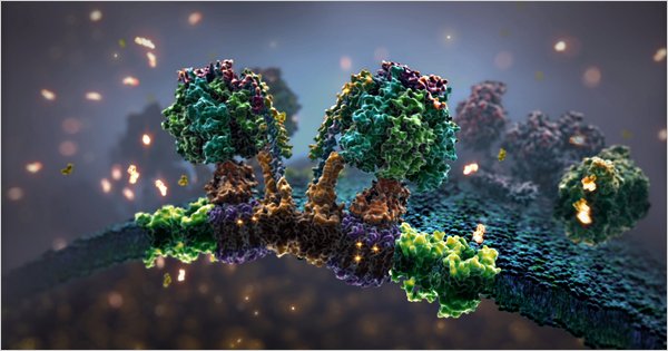 Molecular Animation: Future of teaching Biology