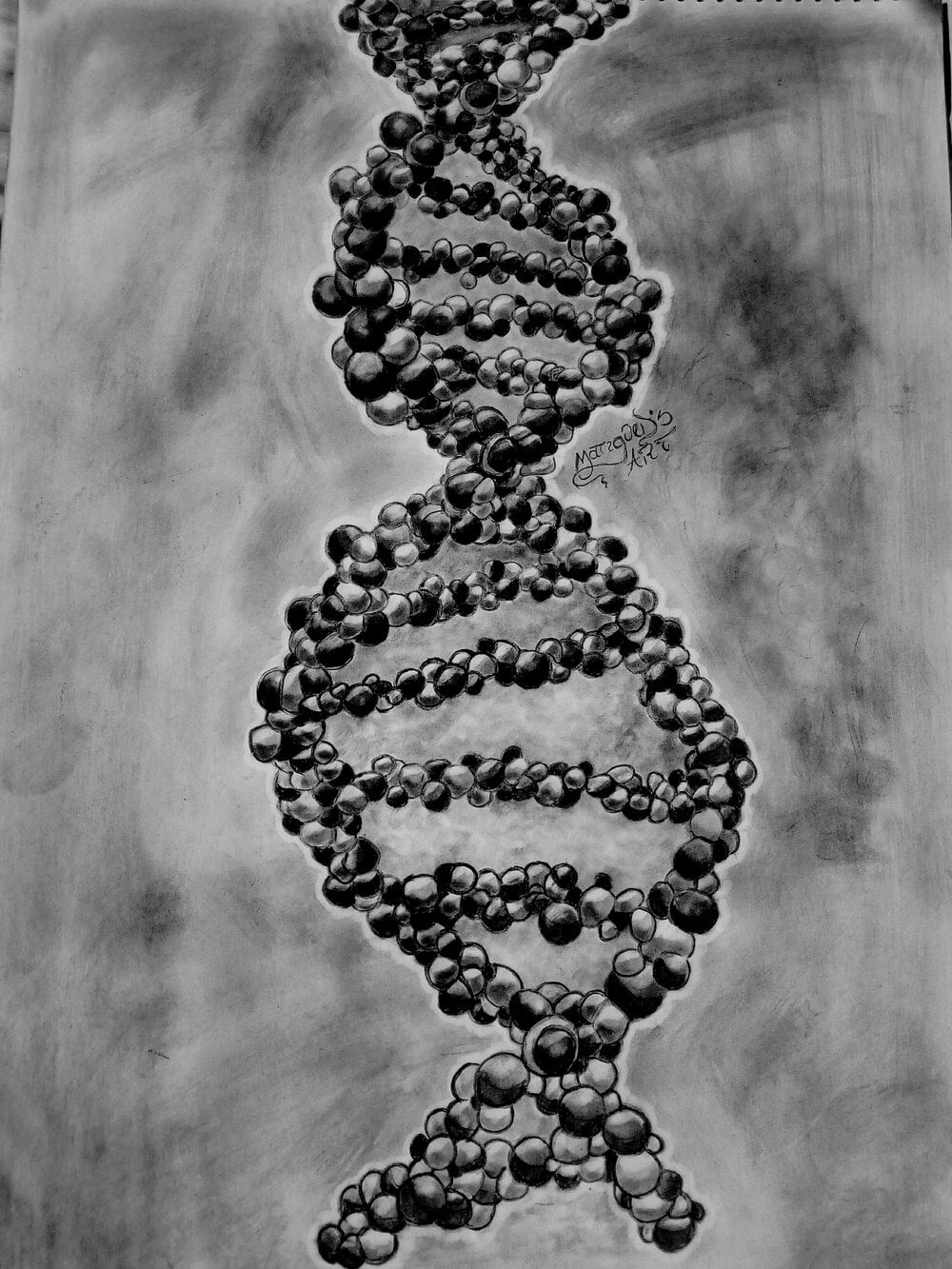 Discovery of DNA – Master Molecule of Life