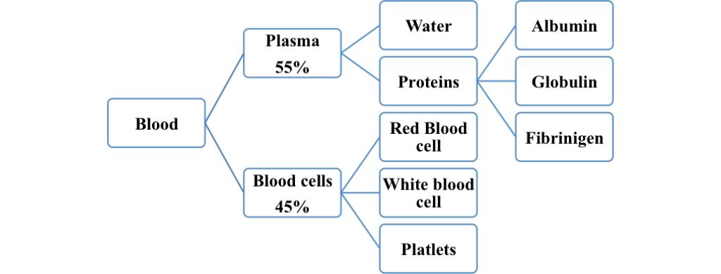 Composition of Blood @biokimicroki