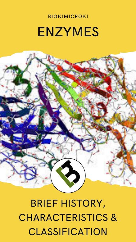 Enzymes : Brief History, Characteristics & Classification