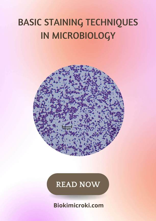 Basic Staining Techniques in Microbiology