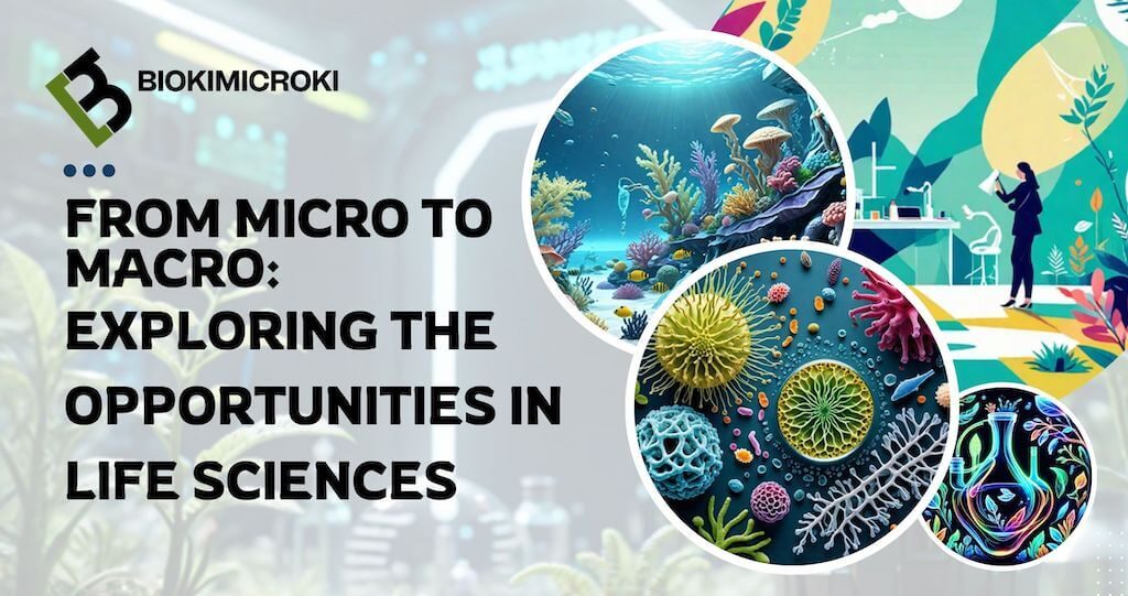 From Micro to Macro: Exploring the Opportunities in Life Sciences