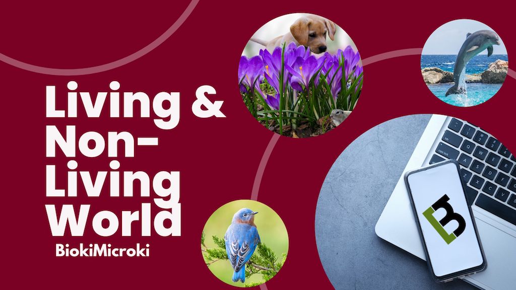 Living & Non-Living World