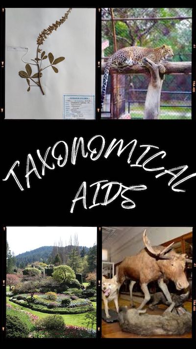 What is Taxonomy? What are different taxonomical aids?